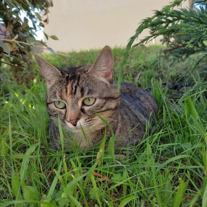 Transformez sa photo en aquarelle