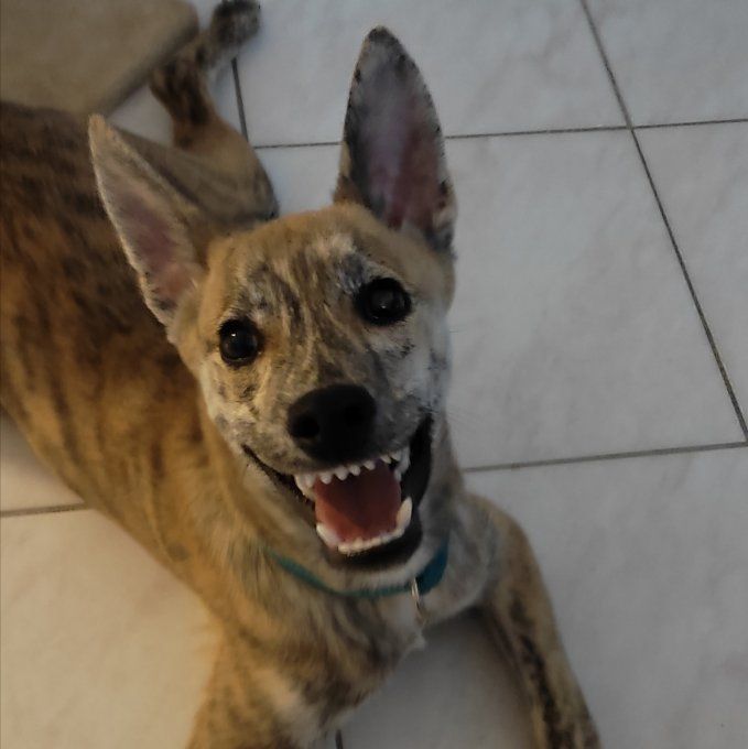 Transformez sa photo en aquarelle