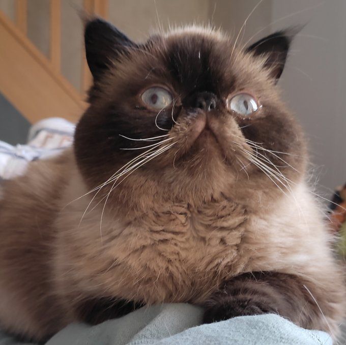 Transformez sa photo en aquarelle