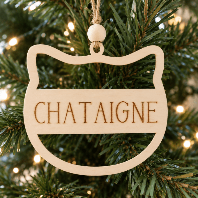 Cadeaux de Noël personnalisés pour chiens et chats