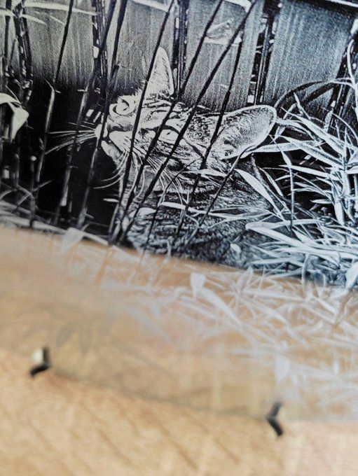 Gravure photo sur miroir