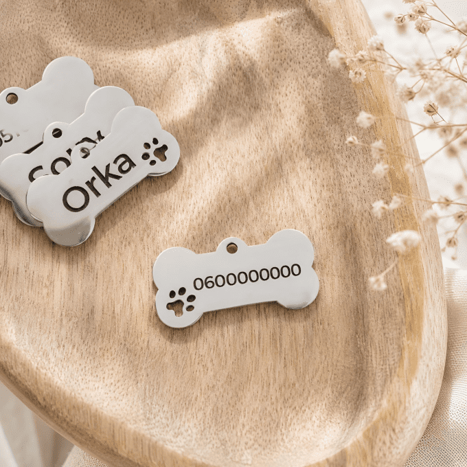Médaille chien personnalisée avec prénom sur le devant et numéro de téléphone au dos
